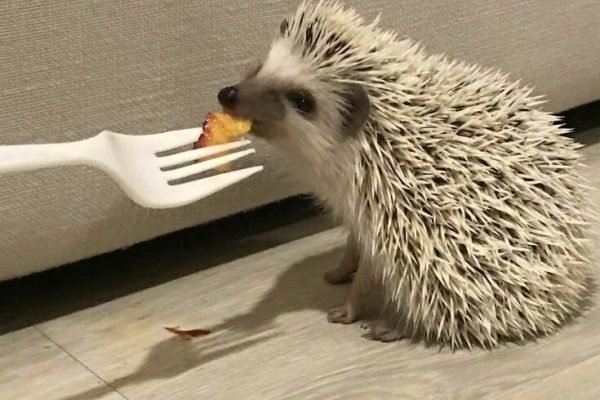 Repost if you like it_