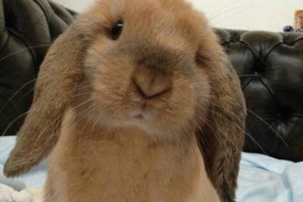 So cute!!! So cute!!!