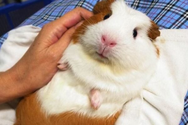 Today is my birthday hope I get some love here 💕