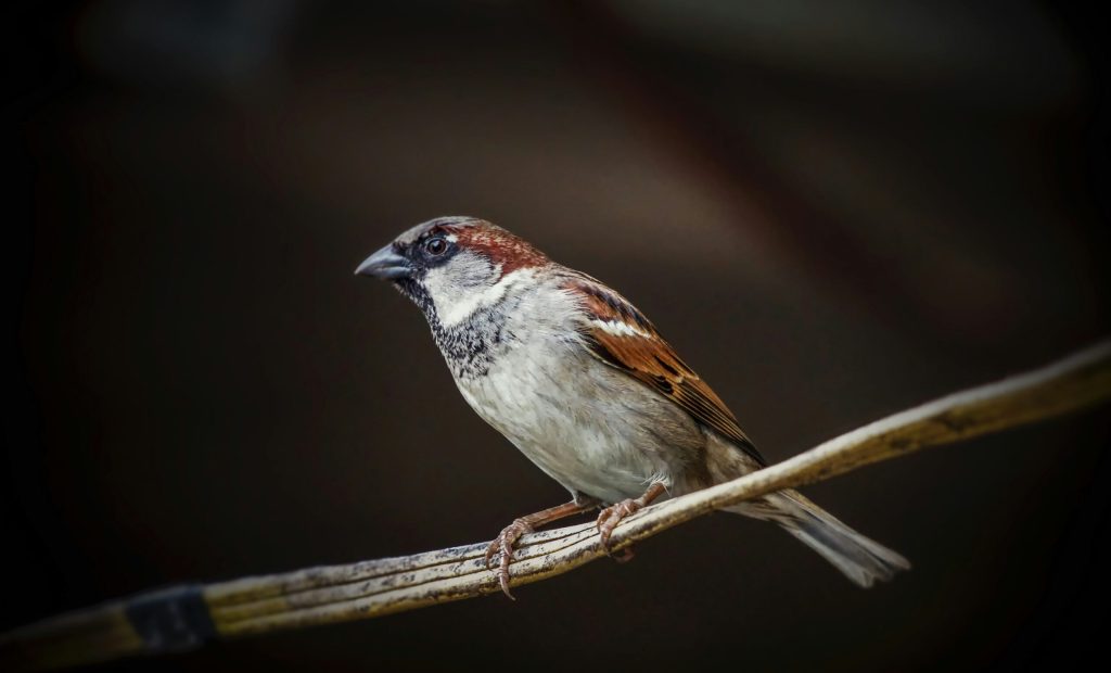 carlos-quintero-J_9etWzDwTA-unsplash