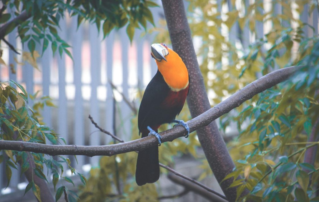 claudio-mota-90ux-P6tS6A-unsplash claudio-mota-90ux-P6tS6A-unsplash