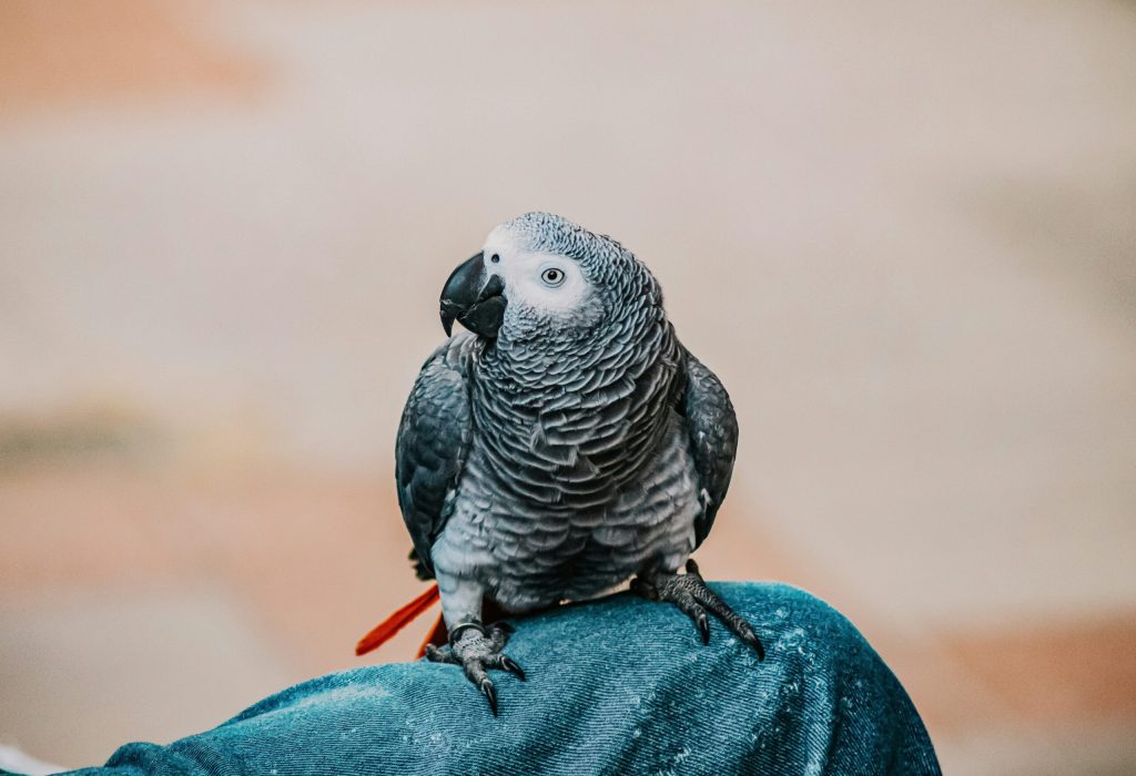 frames-for-your-heart-Y4OpkqIV8IU-unsplash