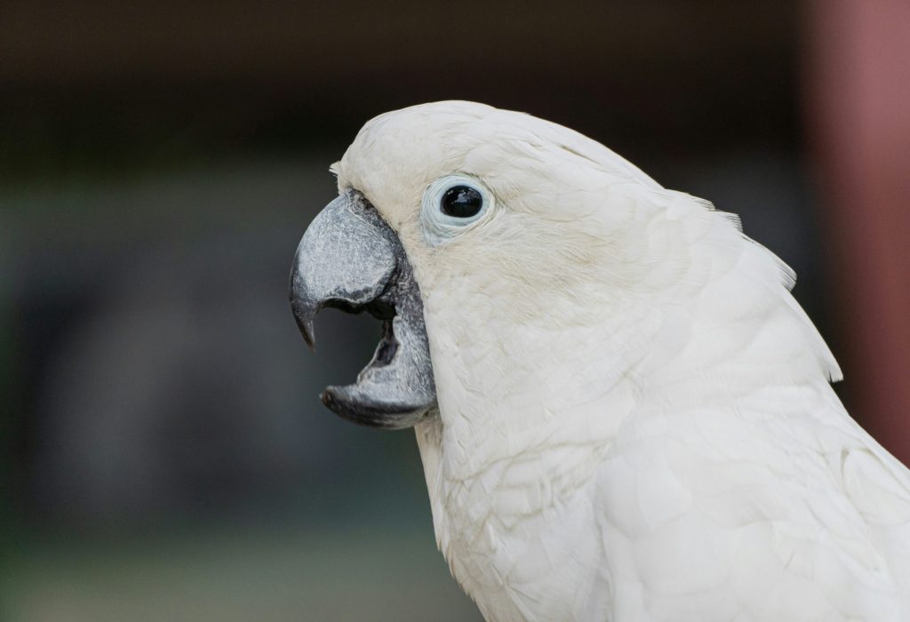 ivan-tang-pkhh-M4-CP0-unsplash ivan-tang-pkhh-M4-CP0-unsplash