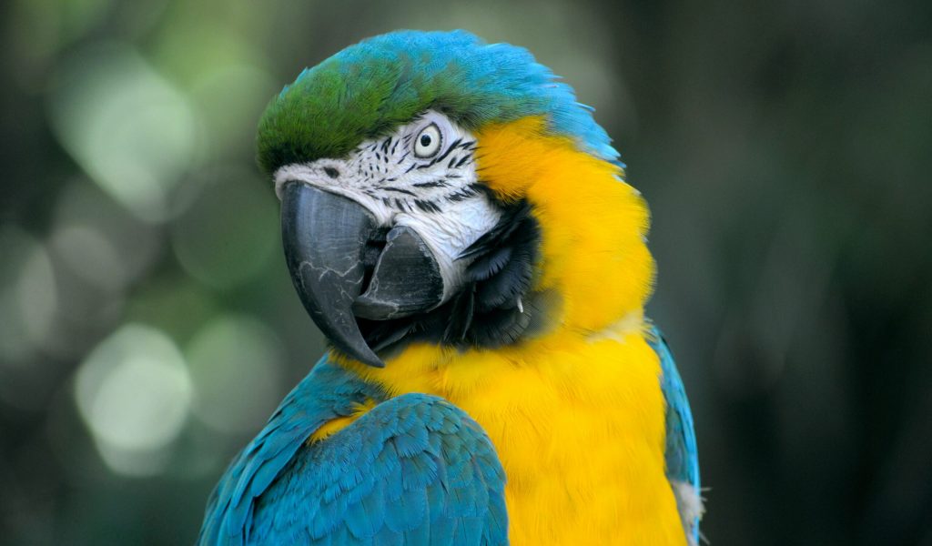lacie-cueto-VdW5_6Q5eFY-unsplash lacie-cueto-VdW5_6Q5eFY-unsplash