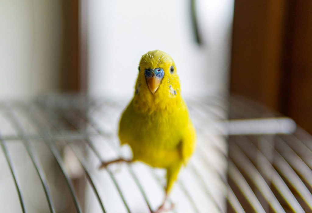 maria-derkach-CCV6DJ328vA-unsplash maria-derkach-CCV6DJ328vA-unsplash