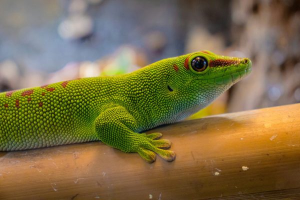 oleksandr-kuzmin-JqITRstfh1g-unsplash