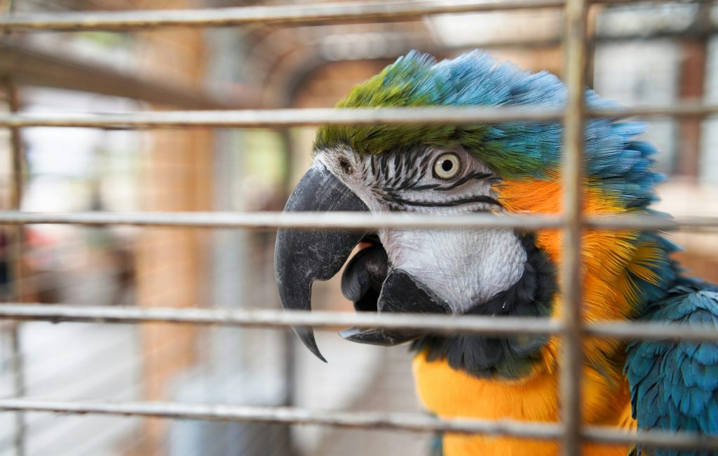 simon-hermans-S9MIIYhQEuQ-unsplash simon-hermans-S9MIIYhQEuQ-unsplash