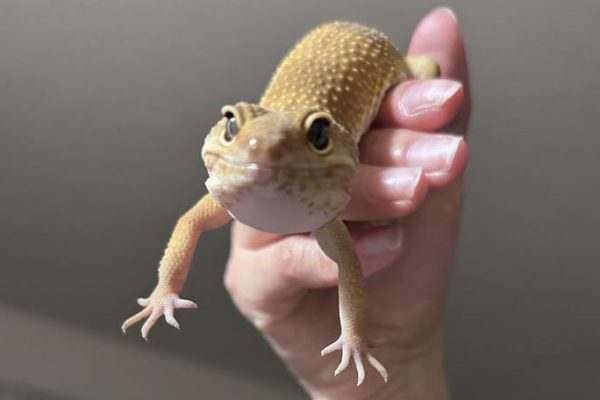 what’s he reaching out for_ what's he reaching out for_