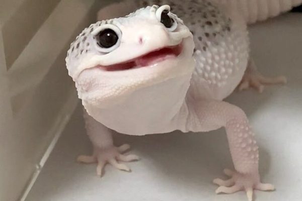 😍 😍